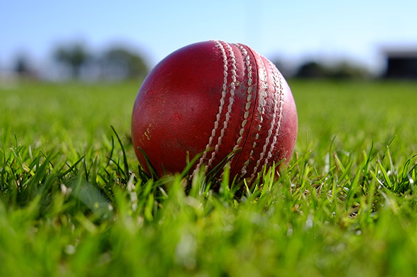 Cricket Practice Net