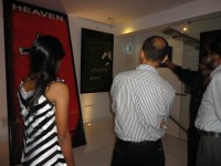 Personal Portfolio Images