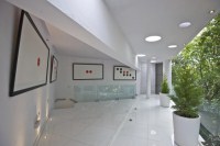 Personal Portfolio Images