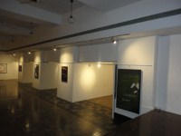 Personal Portfolio Images